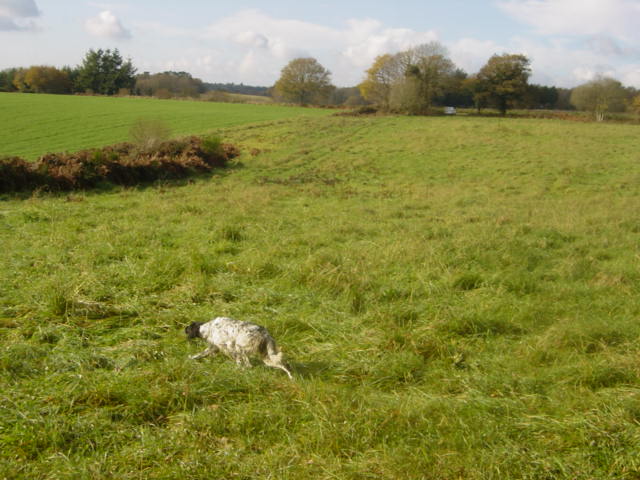 Bell de la Plaine de Caudan