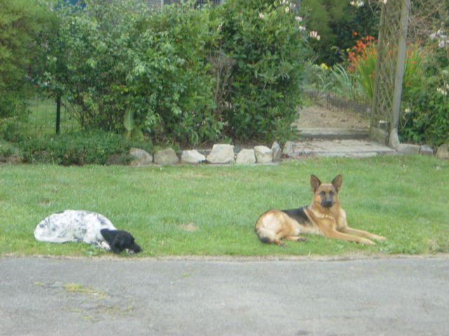 Abi Du cottage des dunes