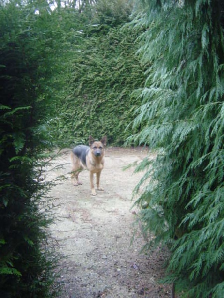 Abi Du cottage des dunes