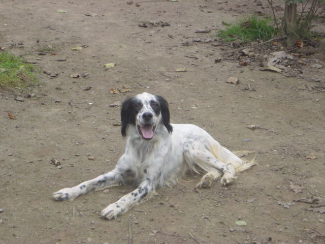 Bozo de la Plaine de Caudan